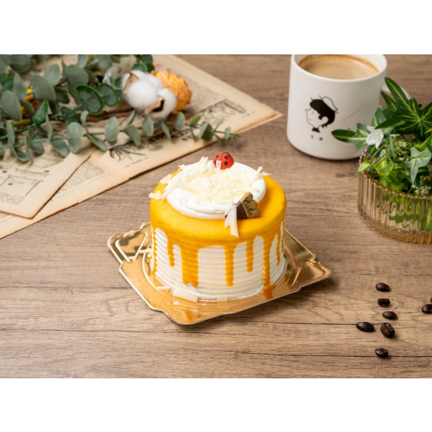 夏日芒芒 Summer Mango.jpg